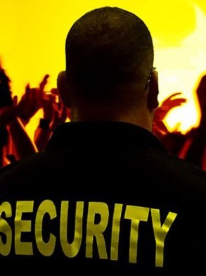 Organizasyon Güvenliği